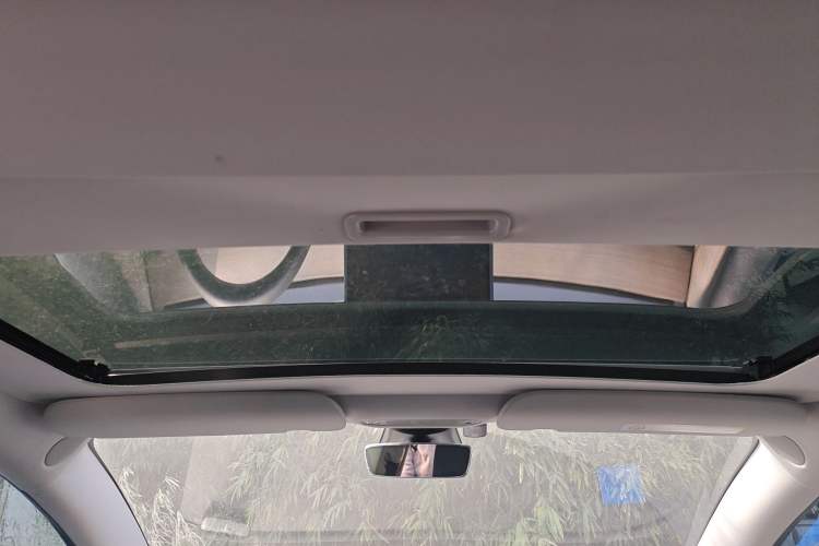 Used Tesla Model 3 2022 Rear-Wheel-Drive Version Headliner