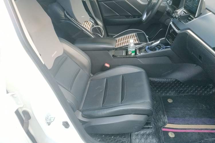 Used Venucia T60EV 2020 AI Enjoyment Model