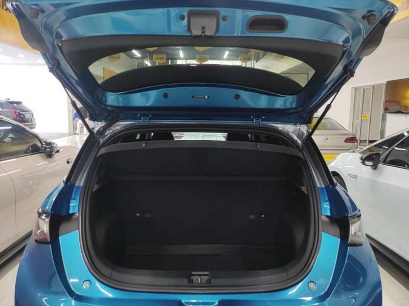 Used BYD Dolphin 2021 401km Knight Edition — 18