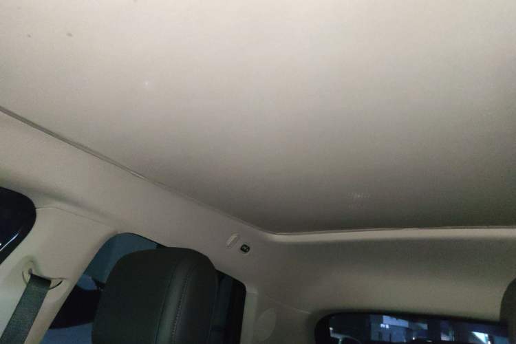 Used firefly firefly 2025 Illuminated Edition
