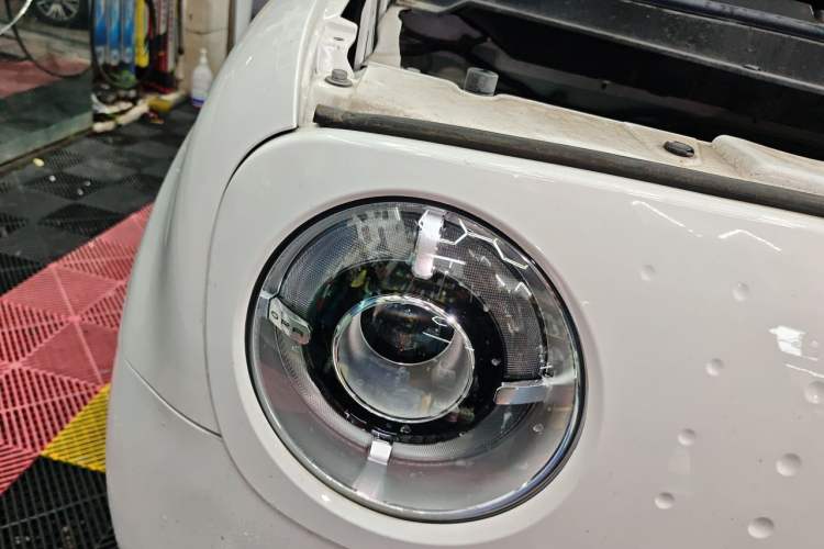 Used ORA Black Cat 2021 301 km Basic Version
