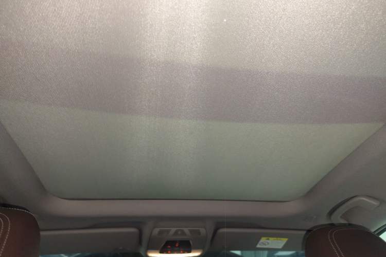 Used BMW X1 2016 sDrive20Li Luxury Model Headliner