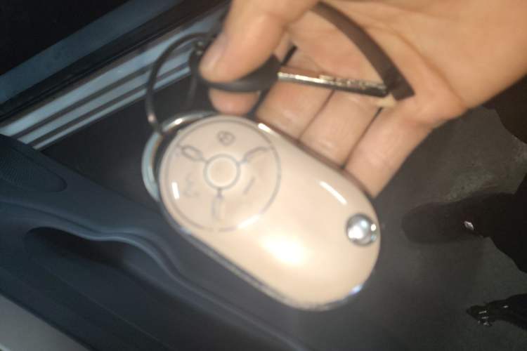 Used Bestune Pony 2025 222km Range Linglong Horse
