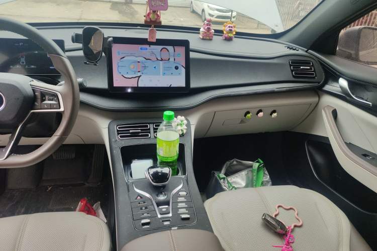 Used BYD Qin PLUS 2023 Champion Edition DM-i 55KM Leading Model