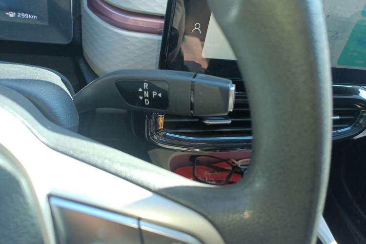 Used SOL E10X 2022 Flower Fairy Design Four-Leaf Clover Gear Lever