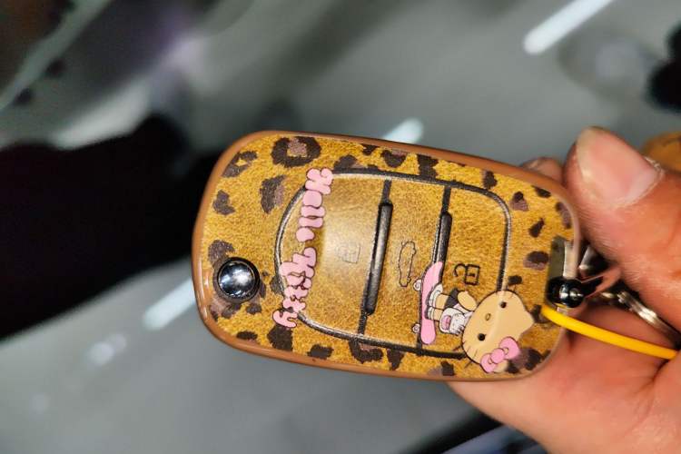 Used Wuling Hongguang MINIEV 2022 Zizai Version Lithium Iron Phosphate Vehicle Key