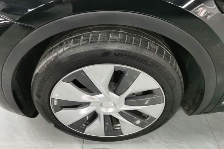 Used Tesla Model Y 2021 Standard Range Rear-Wheel Drive Version
