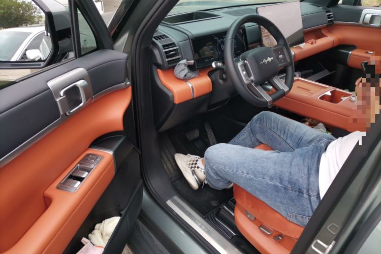 Used Formula Leopard Tai 7 2025 Model 190 km Four-Wheel Drive Ultra Edition Driver Seat