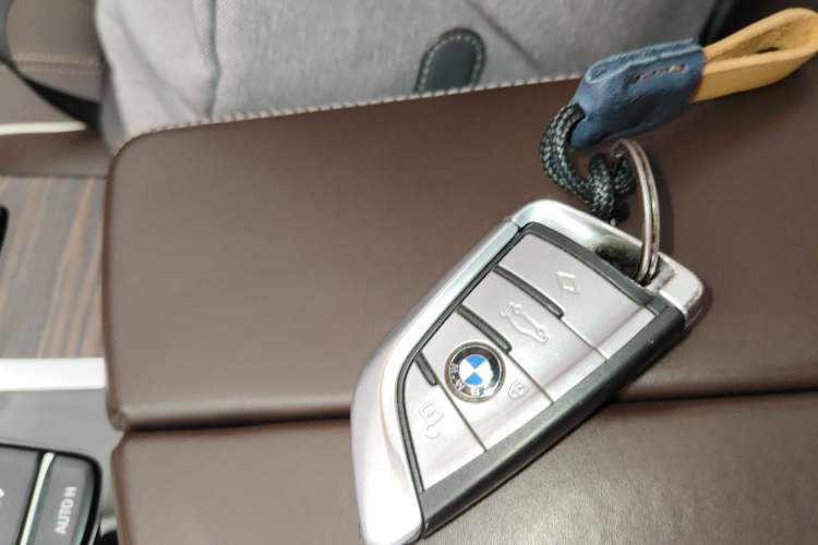 Used BMW 5 Series 2020 530Li Leading Edition Luxury Package