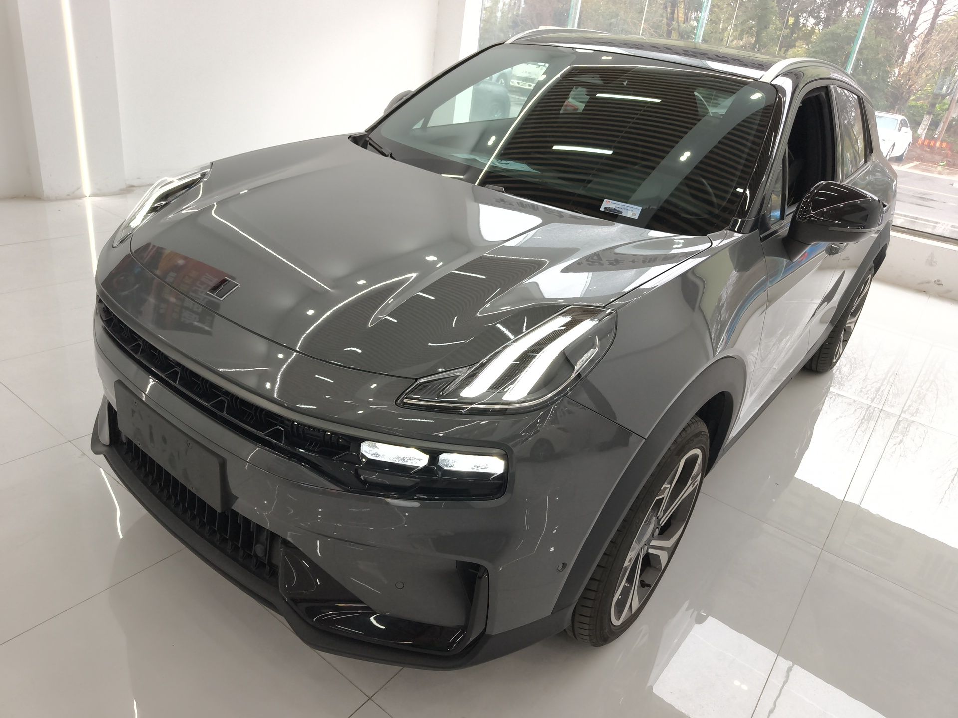 Parte inferior delantera