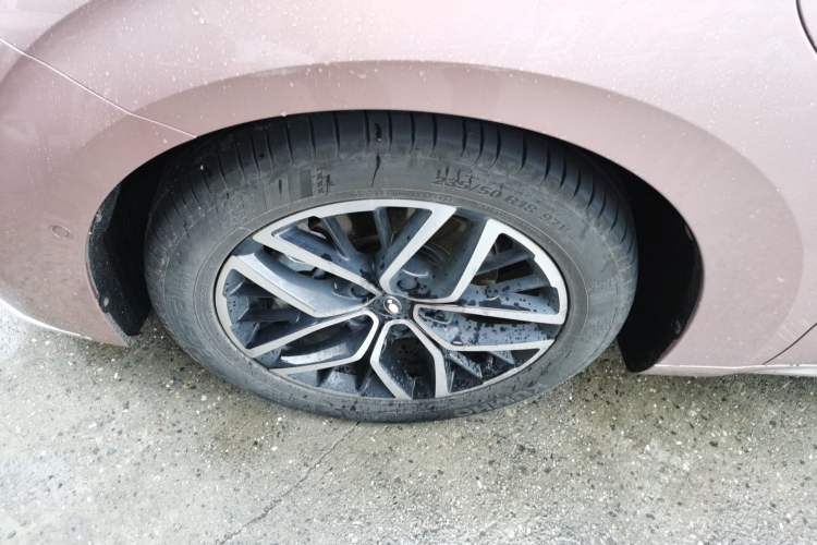 Used ORA Lightning Cat 2022 555 km Luxury Edition
