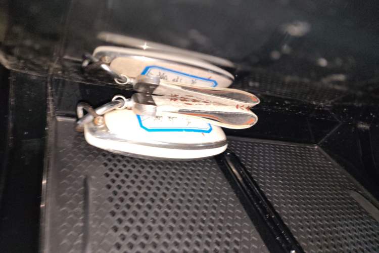 Used Hongqi HS3 PHEV 2024 PHEV 115km Jingwei Edition
