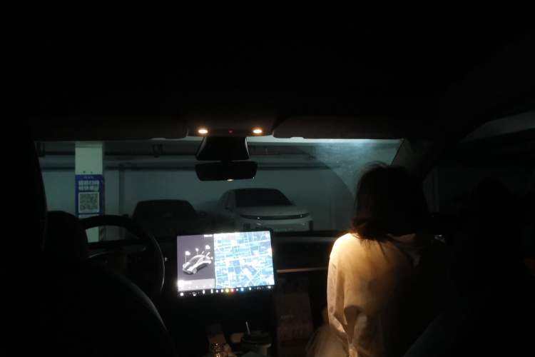 Used Tesla Model Y 2021 Standard Range Rear-Wheel Drive Version Headliner