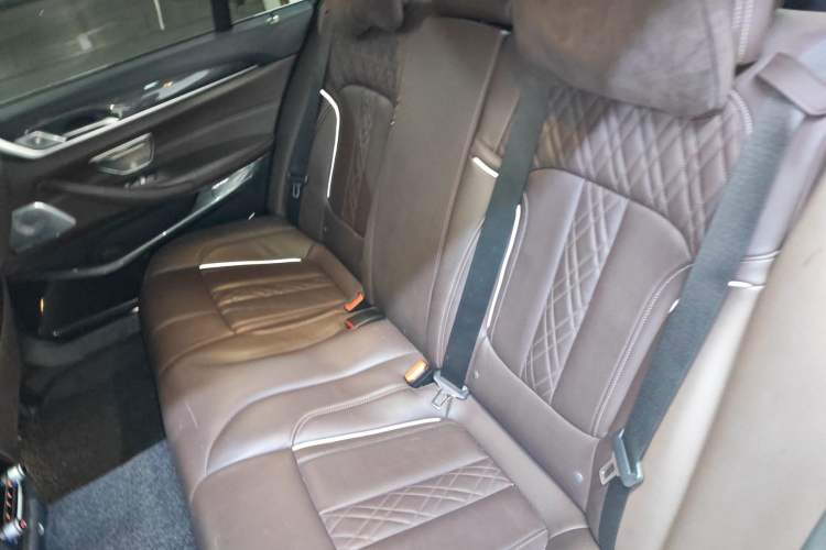 Used BMW 5 Series New Energy 2018 530Le Luxury Package