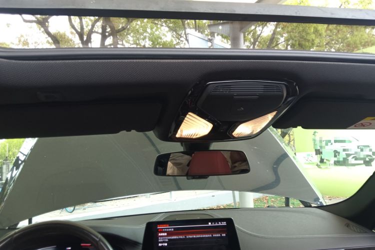 Used BMW 5 Series 2020 530Li Luxury Edition M Sport Package Headliner