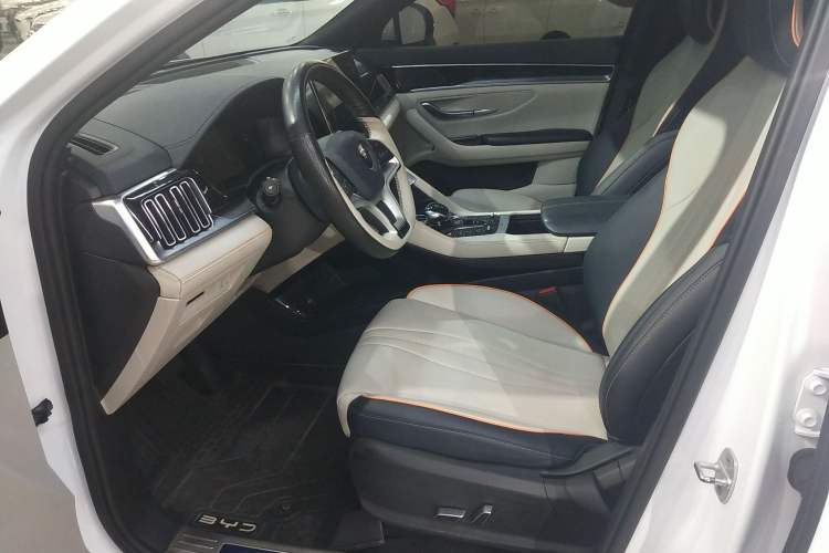 Used BYD Song PLUS New Energy 2021 EV Deluxe Model Left Front Seat