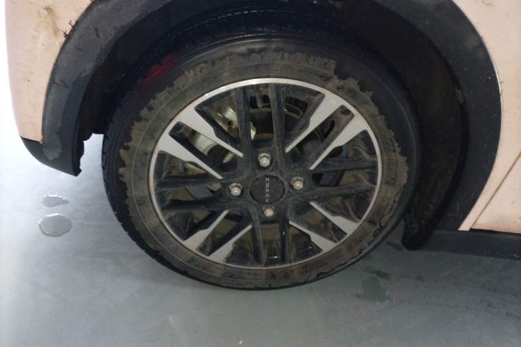 Used Chery Little Ant 2023 Updated Version 251 km Love Edition Lithium Iron Phosphate
