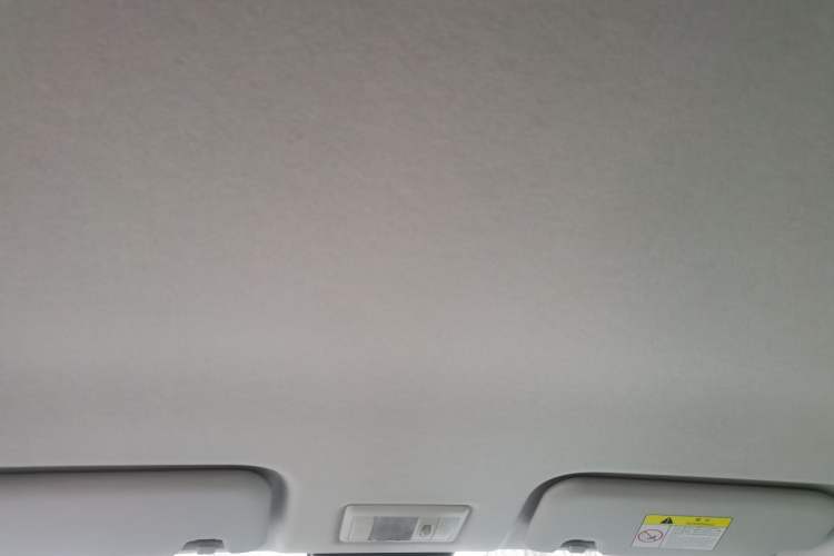 Used Qiyuan Lumin 2022 155 km – Refreshingly Sweet Edition