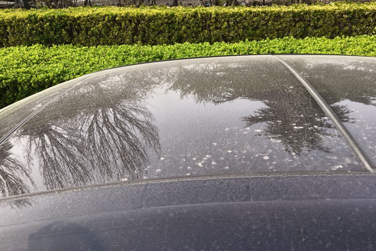 Used Hyundai Sonata 2024 1.5T Pro Roof