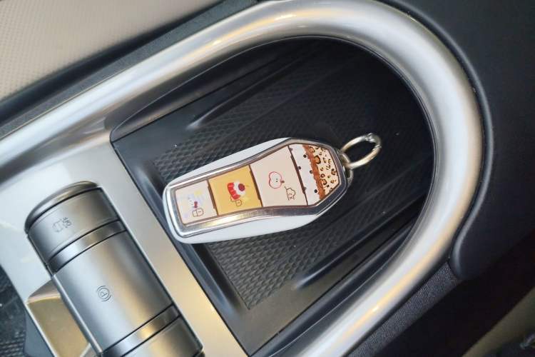 Used BYD Dolphin 2024 Honor Edition 420km Fashion Version Interior 1