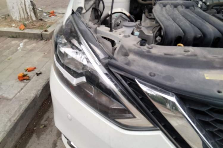 Used Nissan Sylphy 2024 Classic 1.6XL CVT Luxury Edition Right Front Headlight