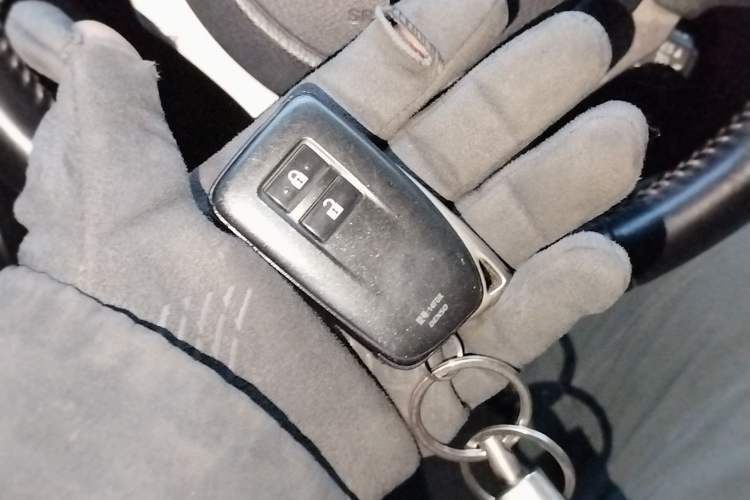 Used Lexus NX 2020 200 Front-Wheel Drive Freeline Edition China V Standard
