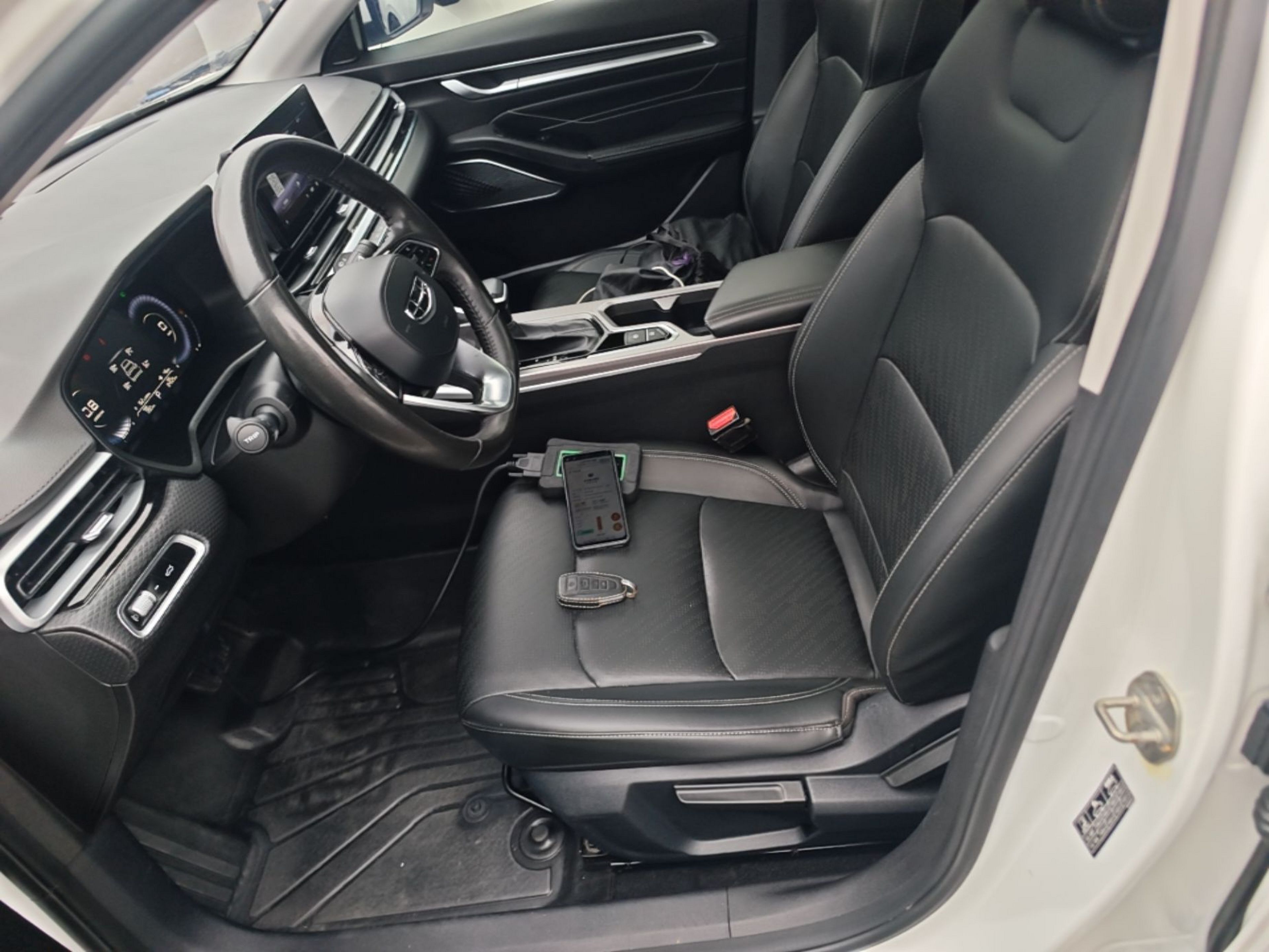 Interior delantero