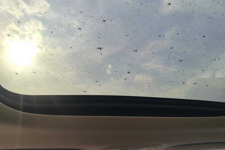 Used Lincoln Aviator 2022 3.0T V6 Two-Wheel Drive Zunyue Edition Headliner