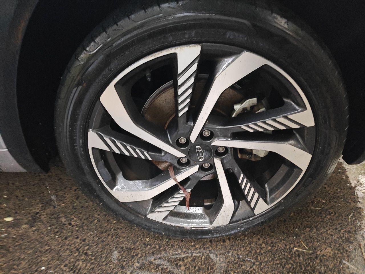 Geely Auto Monjaro L 2021 2.0TD DCT EVO Two-Wheel Drive Prestige Version — снимка 5