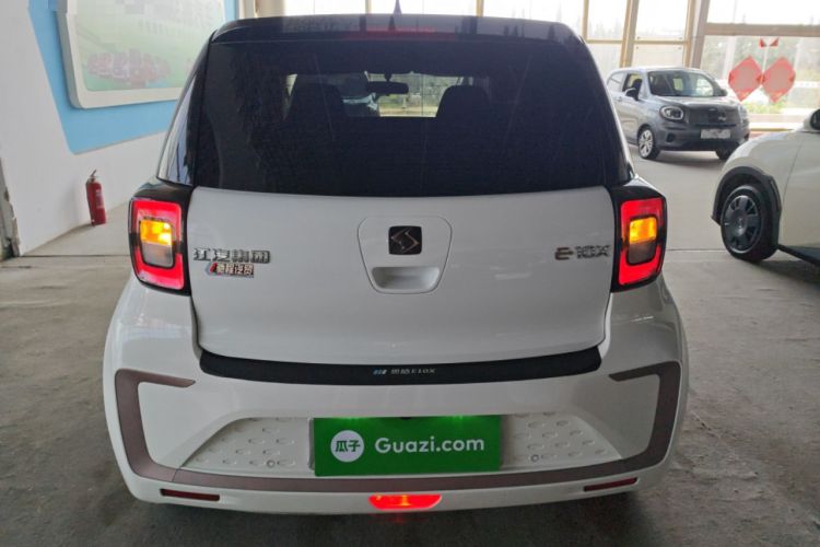 Used SOL E10X 2022 Flower Fairy Design Sunflower