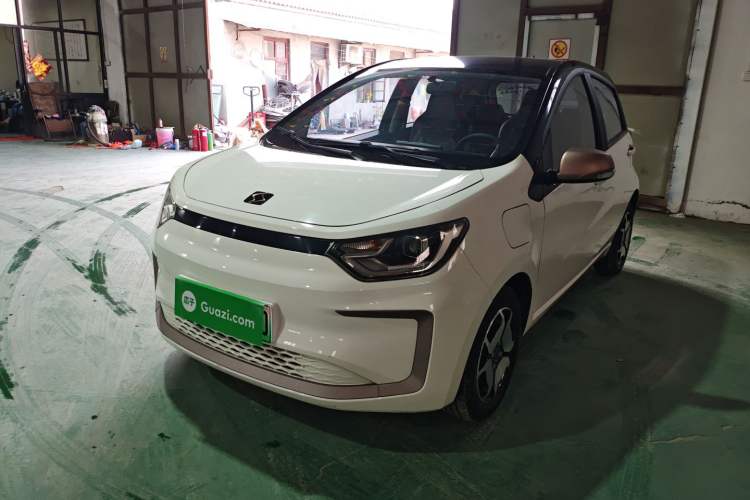 Used SOL E10X 2022 Flower Fairy Style Baby's Breath