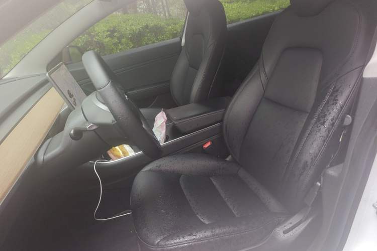 Used Tesla Model 3 2019 Long-Range Rear-Wheel-Drive Version
