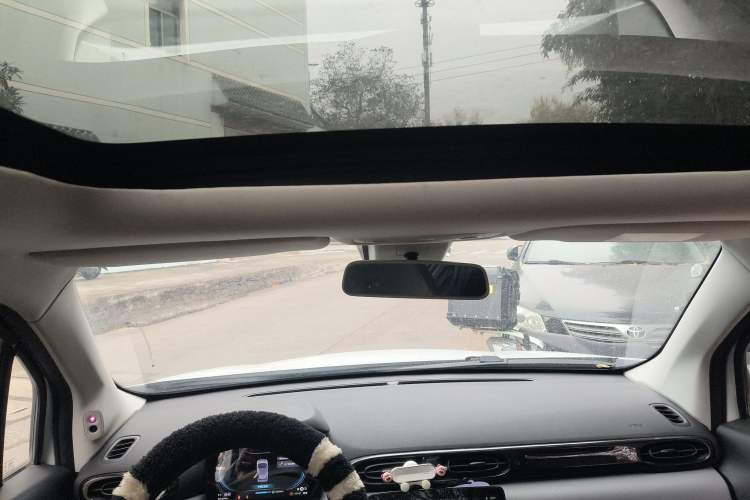 Used Leapmotor T03 2020 400 Luxury Edition Headliner