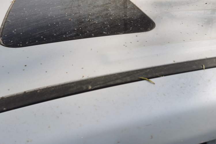 Used GAC Trumpchi M8 2021 Revised Version Lingxiu Series 390T Luxury Edition