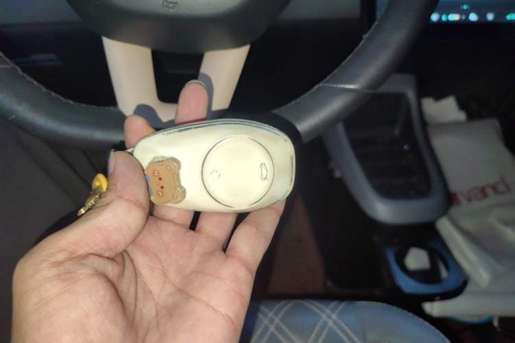 Used Leapmotor T03 2021 400 Luxury Edition