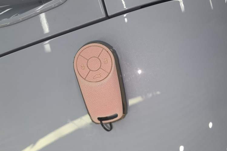 Used ORA Ballet Cat 2022 401 km Alice Edition
