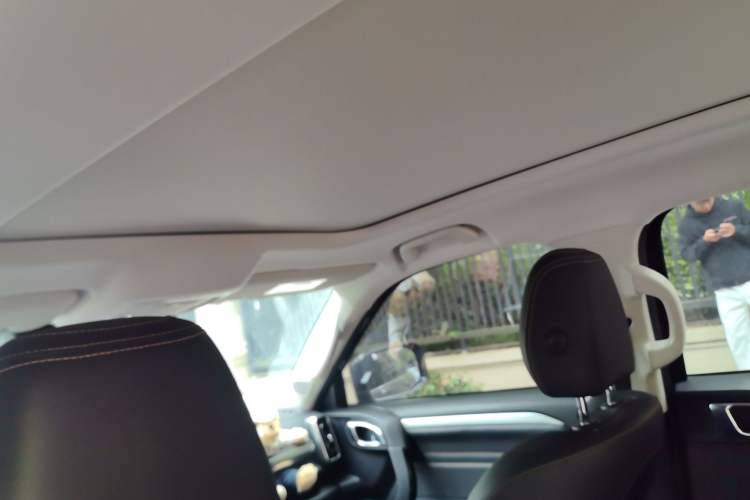 Used Haval DARGO 2022 1.5T DCT Two-Wheel Drive Border Collie Edition Headliner