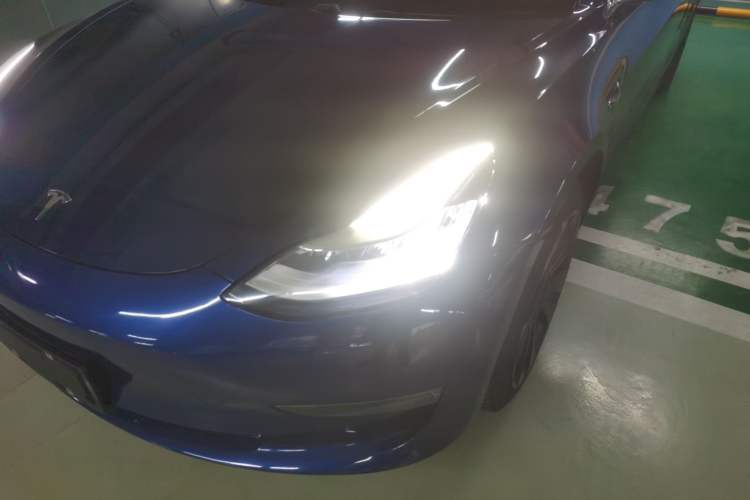 Used Tesla Model 3 (Import) 2019 Long-Range Rear-Wheel-Drive Version
