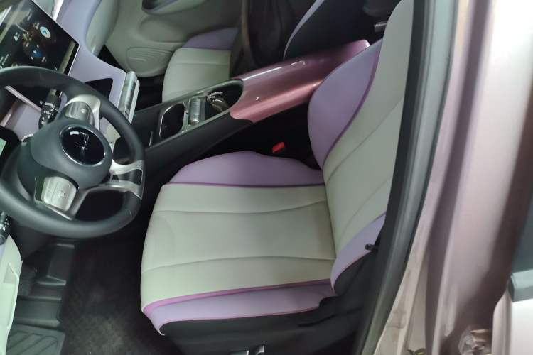 Used BYD Dolphin 2021 405 km Fashion Edition Left Front Seat