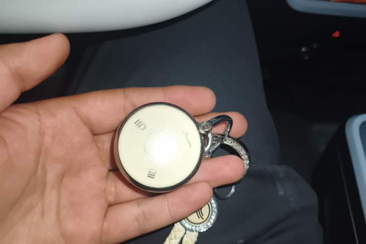 Used NETA AYA 2023 318 Lite
