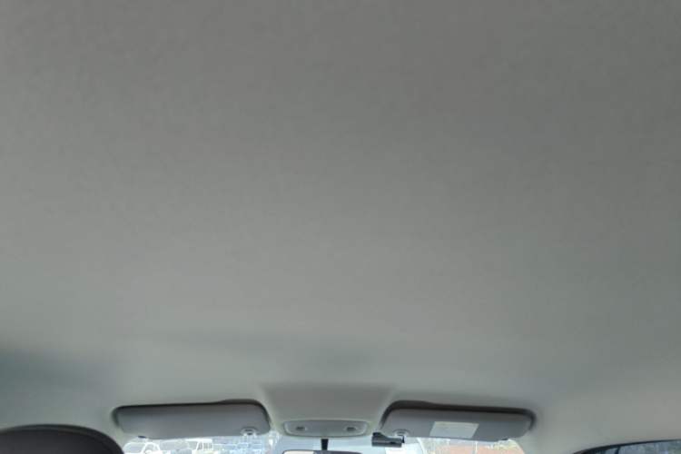 Used Leapmotor T03 2025 310 Comfort Edition Headliner