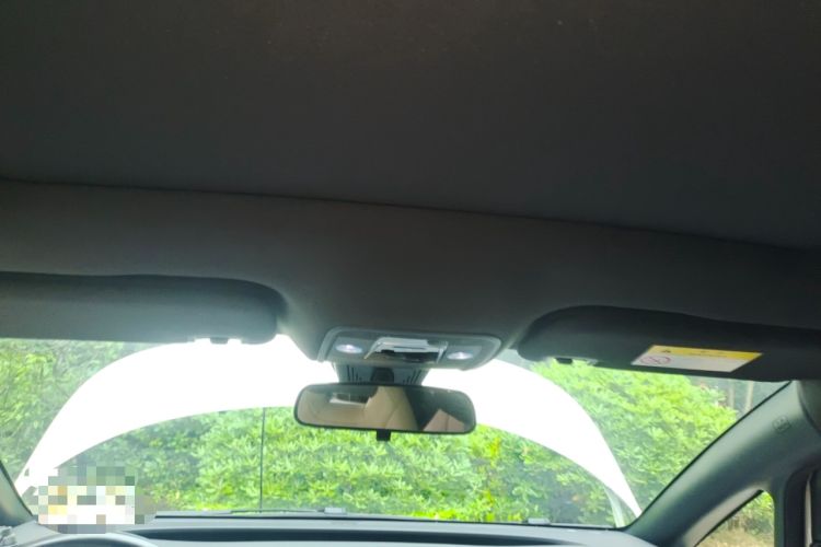 Used BYD Dolphin 2023 420 km Fashion Edition Headliner