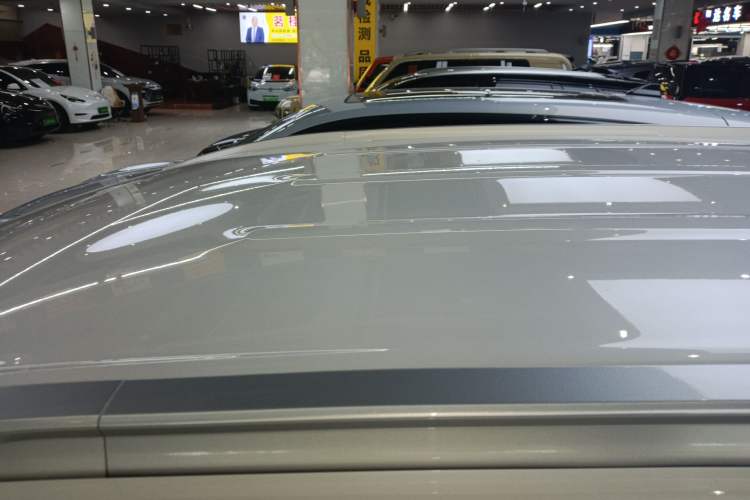 Used AION Y 2024 Younger Roof