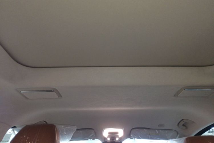 Used Hongqi HQ9 2023 2.0T Smart Connect Flagship Edition Headliner