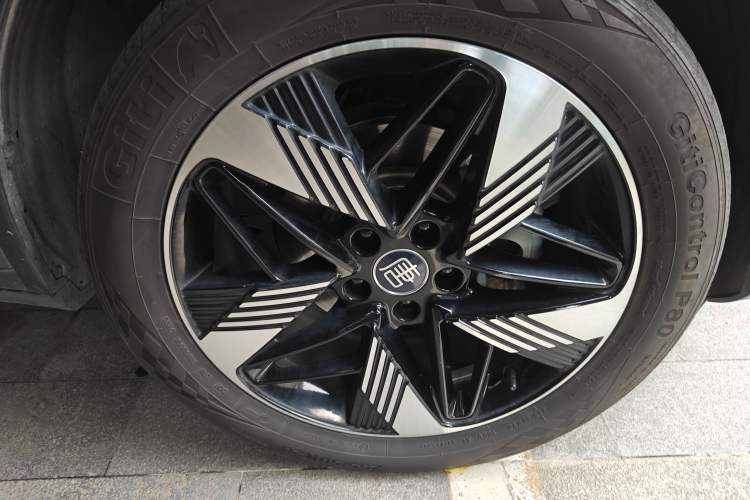 Used BYD Tang New Energy 2023 DM-i Champion Edition 112KM Prestige Model