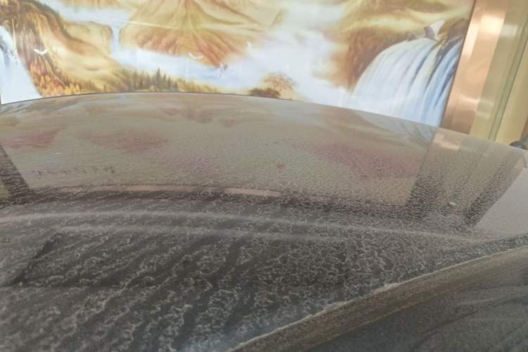 Used Honda Envix 2019 180TURBO CVT Enjoyment Version China VI