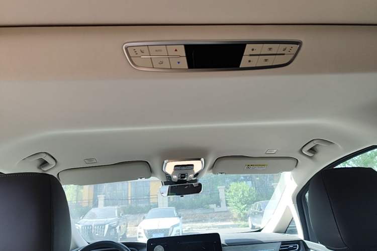 Used Hongqi HQ9 PHEV 2024 2.0T Four-Wheel Drive Business Edition Headliner