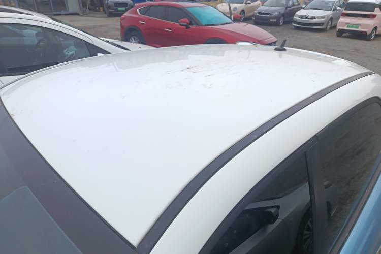 Used ORA Black Cat 2019 351 km Family Edition