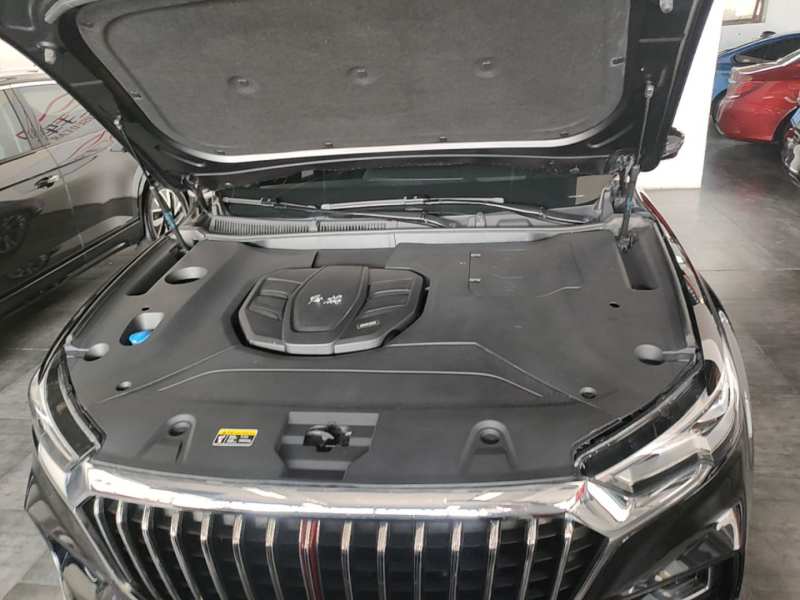 Used Hongqi HS5 2019 2.0T Smart Connect Flagship All-Wheel-Drive Version – Chinese Trim Xiang — 19