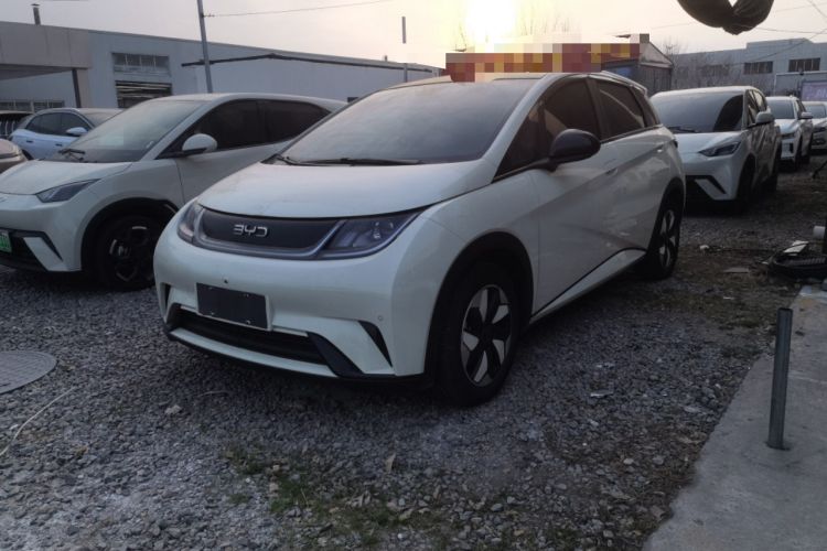 Used BYD Dolphin 2024 Honor Edition 420km Fashion Version